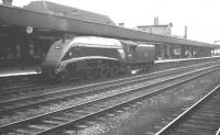 60014 <I>Silver Link</I> ambles through Doncaster light engine on 1 September 1962. The A4 had just over 3 months of operational life remaining at this stage, being eventually withdrawn from Kings Cross shed in December of that year and cut up at Doncaster Works the following month.  <br><br>[K A Gray 01/09/1962]