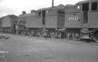 Photograph taken in the shed yard at 65C Parkhead on 3 April 1961. Locomotives present include Gresley V3 2-6-2T 67611, stabled alongside classmate 67623.  <br><br>[K A Gray 03/04/1961]