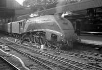 A4 60023 <I>Golden Eagle</I> photographed in 1961 with a train at Newcastle Central. <br><br>[K A Gray //1961]
