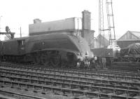 Scene on the goods lines at Newcastle Cemtral in 1961, with A4 60027 <I>Merlin</I> having been relegated to freight duties on this occasion. The Pacific is alongside the large NER water tower of 1891, located between the running lines and Forth Street on the south side of the station. <br><br>[K A Gray //1961]