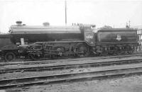 K2 2-6-0 no 61742 in new BR livery at Eastfield on 3 September 1949.<br><br>[G H Robin collection by courtesy of the Mitchell Library, Glasgow 03/09/1949]